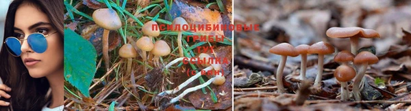 метадон Беломорск