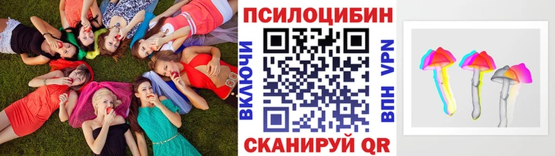Псилоцибиновые грибы MAGIC MUSHROOMS  гидра tor  Славгород 